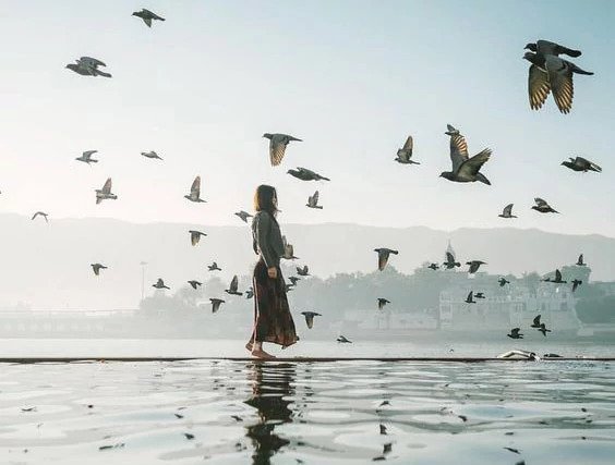 Psychologue pour adultes